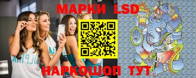 apvp Славгород