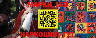 apvp Славгород