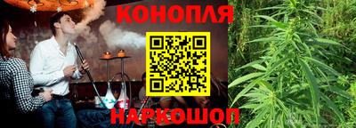 apvp Славгород