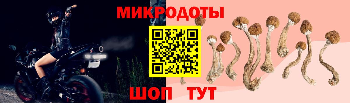 Псилоцибиновые грибы GOLDEN TEACHER Можайск